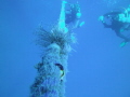   took this end wreck dive whilst doing my safety stop divers.I was also underwater photography specialization time. divers. divers time  
